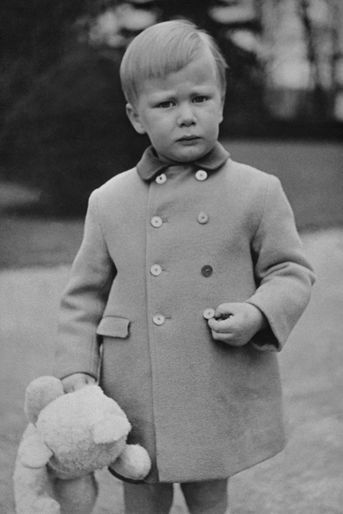 Le prince Philippe de Belgique. Photo pour ses 4 ans le 15 avril 1964