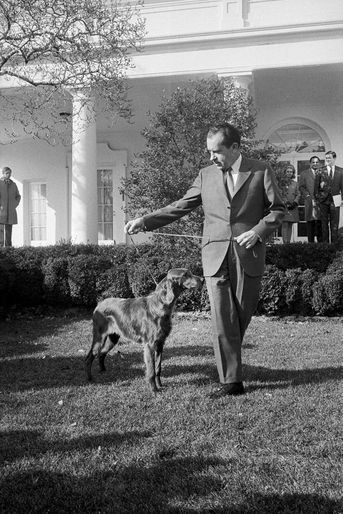 Richard Nixon et King Timahoe, en janvier 1969.