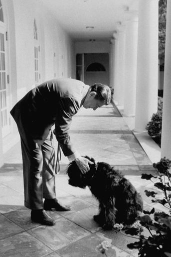 Ronald Reagan et Lucky, en 1986.