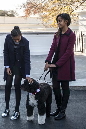 Sasha et Malia Obama avec Bo, en novembre 2013.