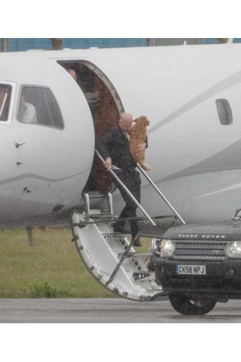 L'un de ses chiens lors de l'arrivée de la reine Elizabeth II en Ecosse, le 4 août 2020