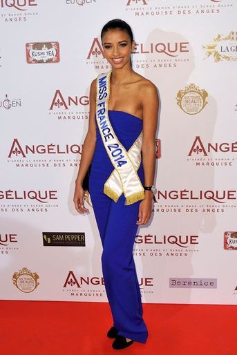 Flora Coquerel, Miss France 2014