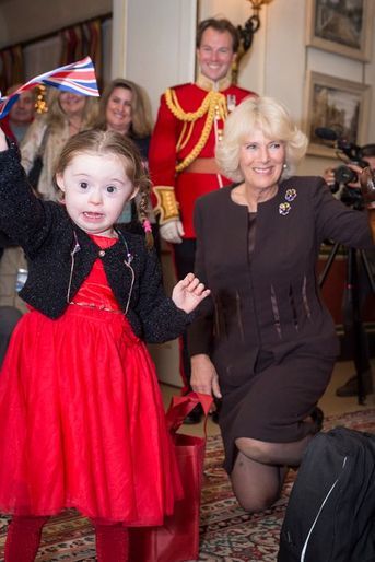 La duchesse de Cornouailles Camilla à Clarence House à Londres, le 15 décembre 2015