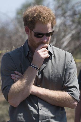 Le prince Harry dans le Parc national Kruger en Afrique du Sud, le 2 décembre 2015
