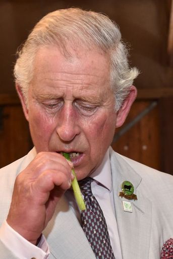 Le prince Charles à Albany, le 14 novembre 2015