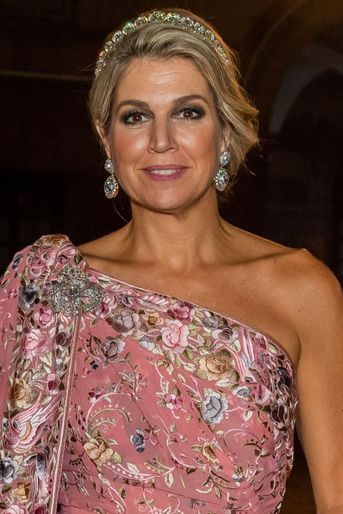 La reine Maxima des Pays-Bas en Inde, le 14 octobre 2019