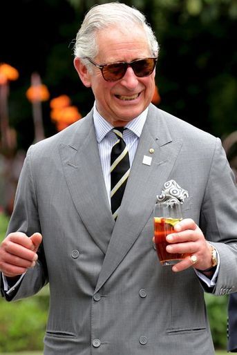 Le prince Charles à Sydney, le 12 novembre 2015