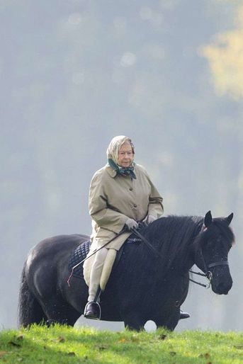 La reine Elizabeth II à Windsor, le 2 novembre 2015