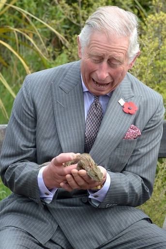 Le prince Charles à l’écosanctuaire de Orokonui près de Dunedin, le 5 novembre 2015