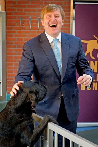 Le roi Willem-Alexander des Pays-Bas à Amstelveen, le 4 novembre 2015