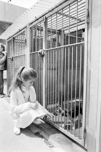 «Anne a eu un coup de coeur pour ce chiot de trois mois, perdu dans sa grande cage.» - (Paris Match n°1625, 18 juillet 1980)