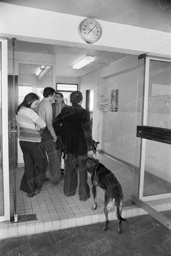 «À la SPA de Gennevilliers, on se bouscule au bureau des abandons. Excuse n°1 des maîtres : "mon chien mord".»(Paris Match n°1625, 18 juillet 1980)
