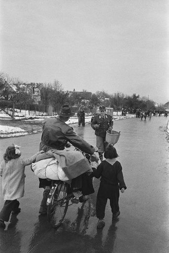 Quand les Hongrois fuyaient leur pays, en 1956
