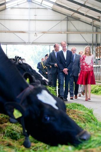La reine Maxima des Pays-Bas visite une ferme à Workum, le 9 septembre 2015