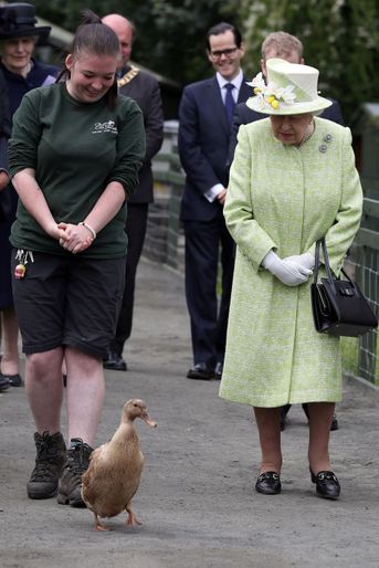 La reine Elizabeth II avec la cane Olive à Edimbourg, le 4 juillet 2019