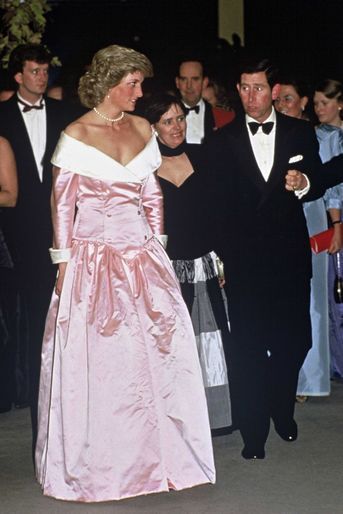 Lady Diana le 11 novembre 1987