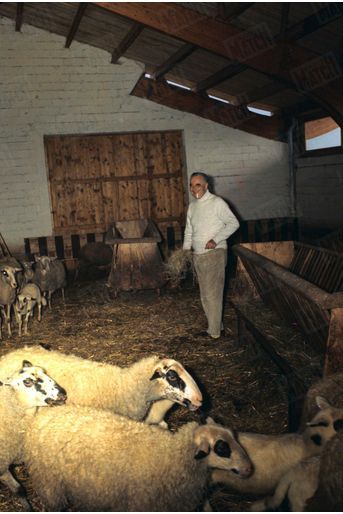 Le président Georges Pompidou dans la bergerie de sa ferme, à Cajarc, dans le Quercy, pour les fêtes de Pâques, en avril 1970.