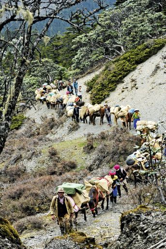 Constantin à la tête du cortège avec les caravaniers tibétains transportant parfois jusqu’à 2&nbsp;tonnes de matériel, nécessaires à l’édification du campement au milieu de la nature.