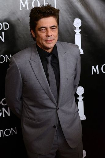Benicio Del Toro à Los Angeles le 13 août 2015