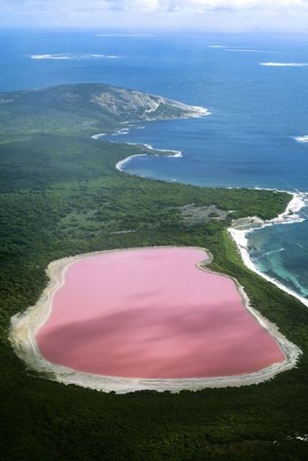 Pink Lake, Australie
