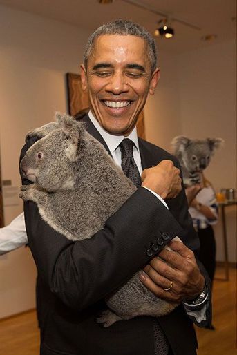Jimbelung, le koala qui fait fondre les chefs d’Etat - Au sommet du G20 