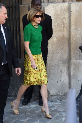 Anna Wintour lors du défilé Dior à Paris, le 26 septembre 2014