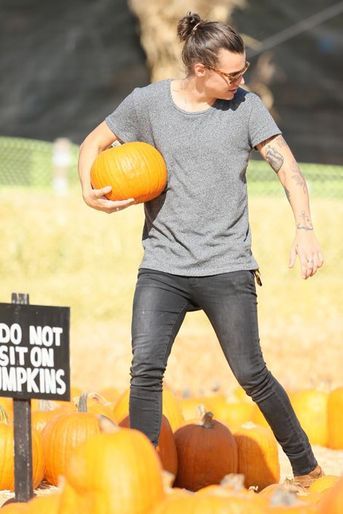 Harry Styles au Mr Bones Pumpkin Patch