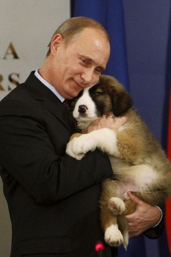 Vladimir Poutine tient dans ses bras un berger bulgare, cadeau du Premier ministre Boiko Borisov, en novembre 2010