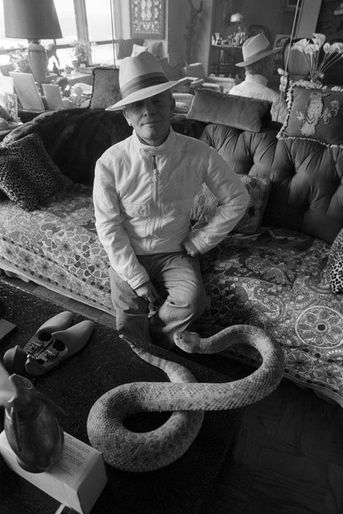 Rendez-vous avec Truman CAPOTE chez lui à New York L'écrivain pose dans son salon assis sur un canapé, coiffé d'un Panama, vêtu d'un petit blouson blanc et d'un jean, la main sur la hanche, devant un serpent à sonnettes empaillé posé sur la table basse.