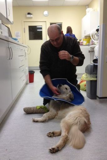 Avec Chaim Pilosof, le vétérinaire qui l'a opéré gratuitement
