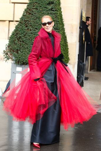 Céline Dion à Paris