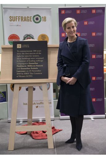 La comtesse Sophie de Wessex à Londres, le 22 novembre 2018