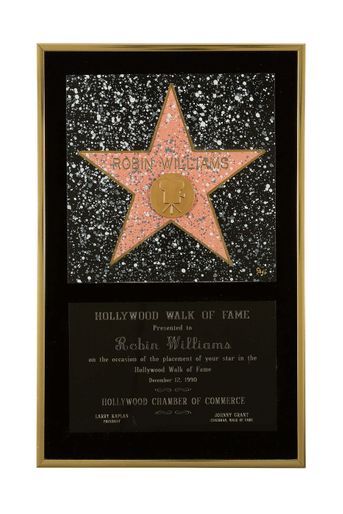 Hollywood Walk of Fame Award
