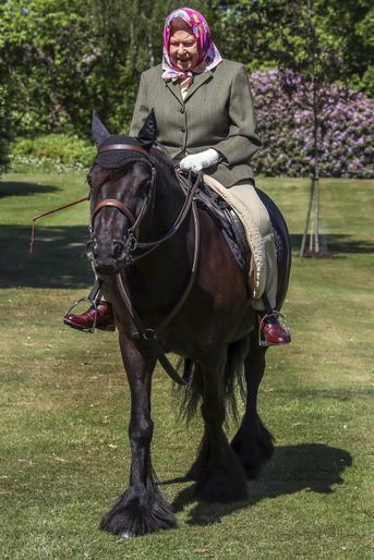 La reine Elizabeth II se promène sur le dos de son poney Balmoral Fern au château de Windsor le 31 mai 2020