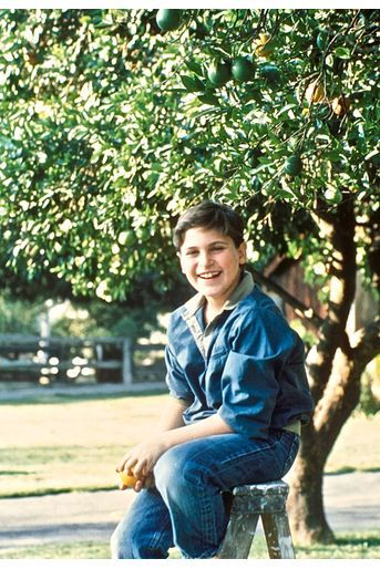 Joaquin Phoenix au pied d'un oranger au domicile familial à Los Angeles en 1985