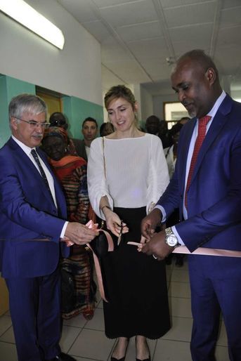 Le 24 janvier, Julie Gayet inaugure symboliquement une salle de soins au BS en présence de Philippe Lacoste, ambassadeur de France au Tchad, et du ministre tchadien de la santé publique, Aziz Mahamat-Saleh Ahmat.