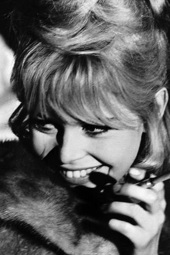 Brigitte Bardot : ses photos quand elle était jeune.