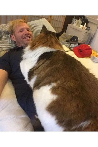 Samson Le Plus Gros Chat De New York