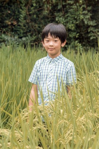 Hisahito du Japon fête ses 10 ans, en plein débat sur la succession