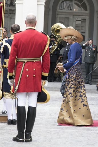 Maxima illumine le Prinsjesdag dans sa robe bleue et or
