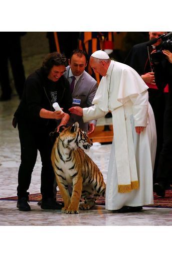 Quand le pape effraie un tigre et vice-versa