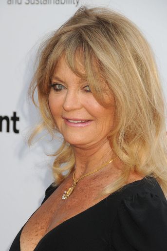 Goldie Hawn à Los Angeles le 24 mars 2016