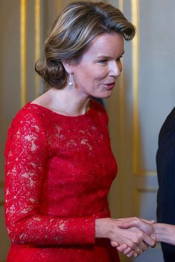 La reine Mathilde de Belgique le 12 janvier 2016