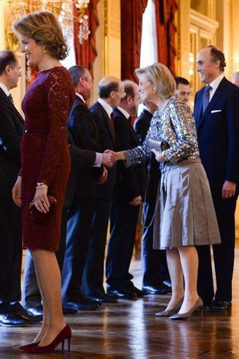 La reine Mathilde de Belgique le 29 janvier 2015