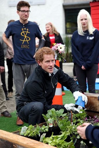 Le prince Harry avec des étudiants bénévoles de l’Université de Canterbury à Christchurch, le 12 mai 2015