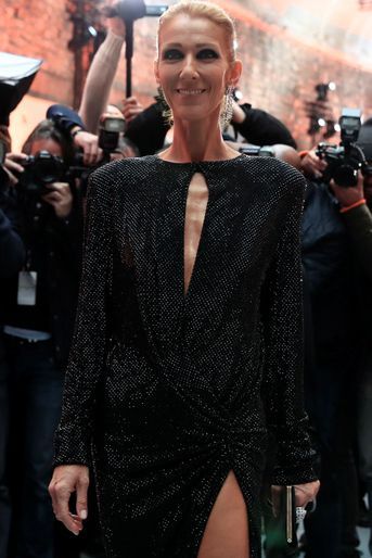 Céline Dion à Paris, le 22 janvier 2019
