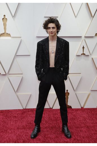 Timothée Chalamet sur le tapis rouge des Oscars 2022.