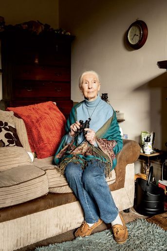 Jamais sans ses jumelles d’observatrice. Immobilisée chez elle pendant deux ans à cause de la pandémie, Jane Goodall a bien l’intention de retourner en Afrique. 