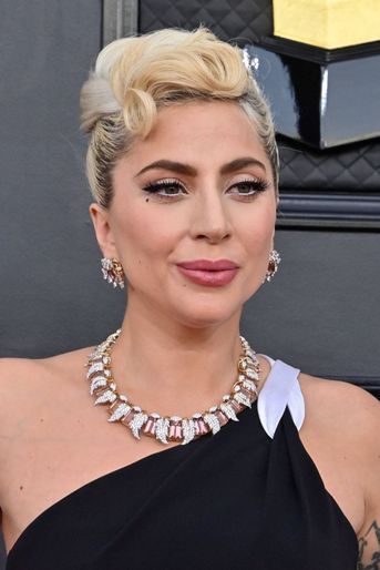 Lady Gaga n'a pas (encore) lancé sa ligne de sextoys. Mais, en 2010, avec le créateur Jeremy Scott, elle a commercialisé une collection de préservatifs vert et rose à motifs animal. 
