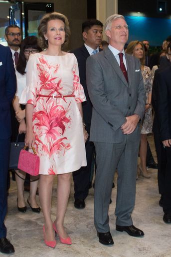 La reine des Belges Mathilde dans une robe Natan en Chine, le 21 juin 2015